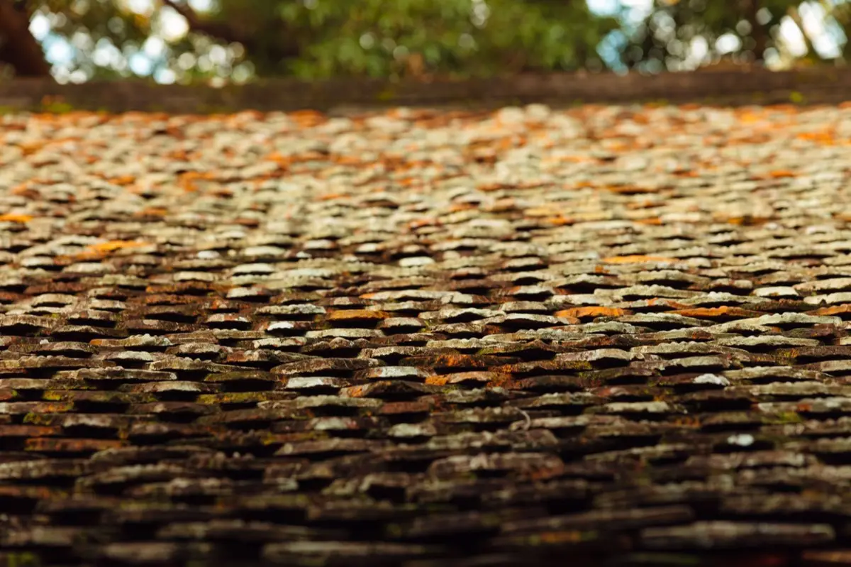 Pre-Purchase Roof Inspections in Fullerton, CA